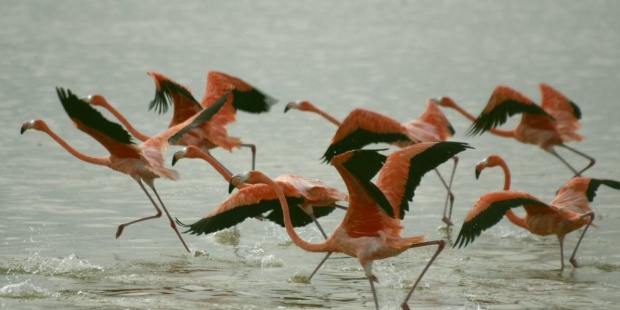 Fotografiar, una forma de involucrar a la gente en el cuidado del ambiente