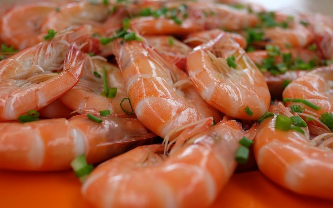 La contaminación de los mares se ve en los alimentos: moluscos, crustácesos y sal marina con residuos plásticos