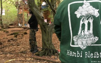 Alemania: activismo contra la deforestación del bosque de Hambach