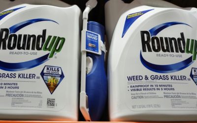 La justicia brasileña revoca la medida que prohibía el glifosato