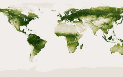 El 67% de la vegetación del planeta podría variar por el cambio climático