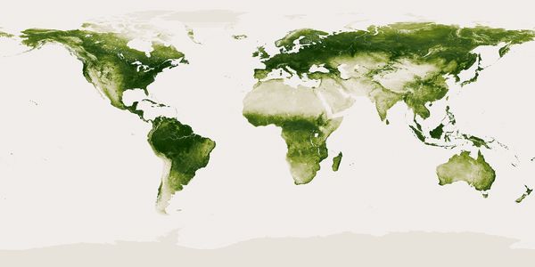 El 67% de la vegetación del planeta podría variar por el cambio climático