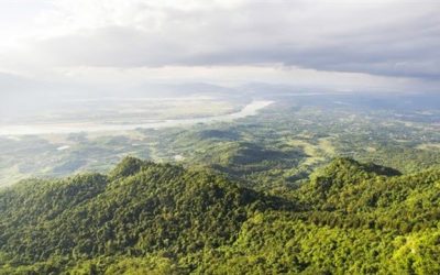 Meliá se une a la comunidad ‘#PorElClima’ para frenar el calentamiento global