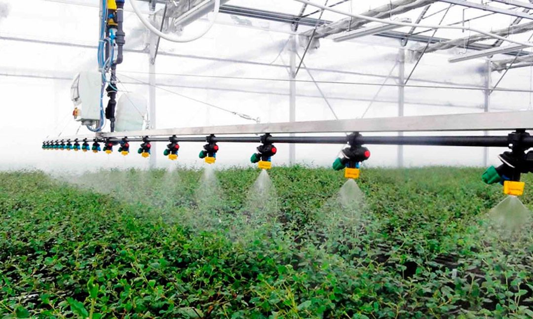El ozono aplicado al agua de riego agrícola