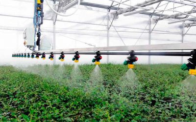 El ozono aplicado al agua de riego agrícola