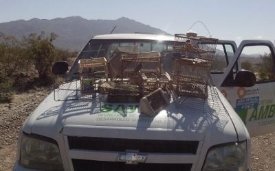 Labraron dos actas por maltrato animal en Caucete