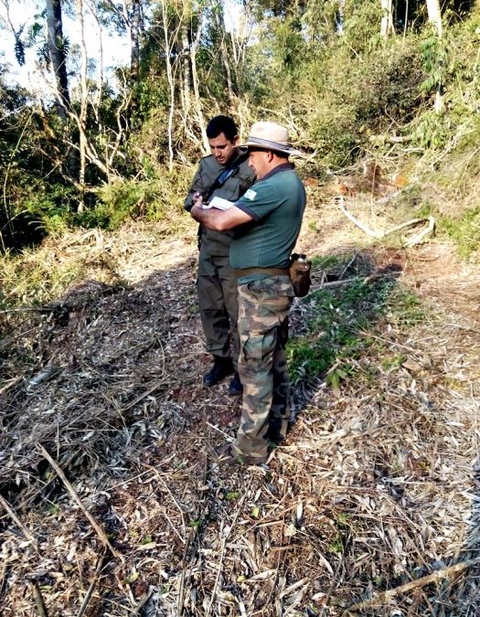 uenos Aires: Ministerio de Ecología inició sumario ambiental por trabajos que afectaron a la comunidad Mbyá “Arroyo 9”