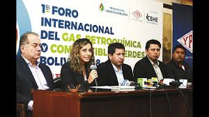Expertos reunidos en Bolivia perfilan al gas natural como vital para transitar a energías limpias