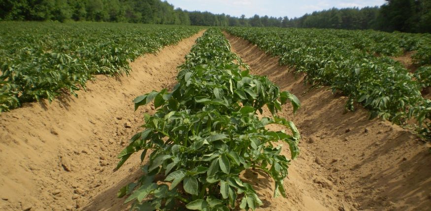 Plan Nacional de Suelos Agropecuarios