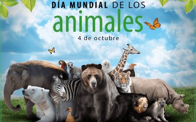 Día Mundial de los Animales – 4 de octubre