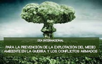 Día para la Prevención de la Explotación del Ambiente en la Guerra y los Conflictos Armados – 6 de noviembre
