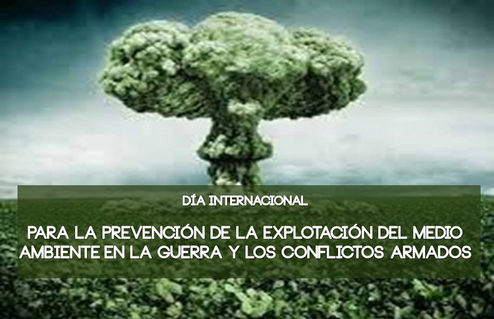 Día para la Prevención de la Explotación del Ambiente en la Guerra y los Conflictos Armados – 6 de noviembre
