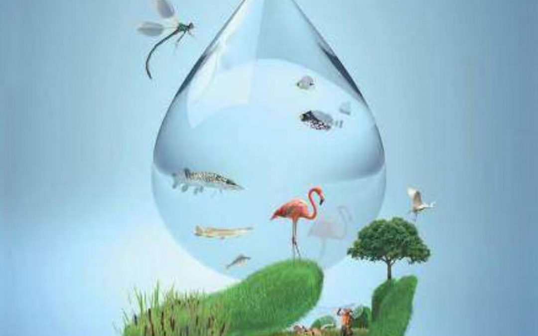 Día Interamericano del Agua – primer sábado de octubre