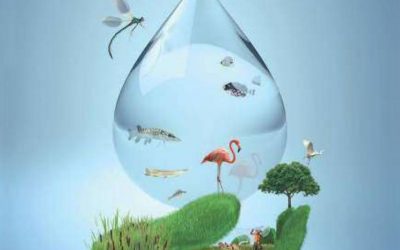 Día Interamericano del Agua – primer sábado de octubre