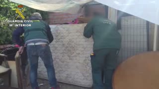 Desmantelado un criadero ilegal de gallos de pelea en la Cañada Real