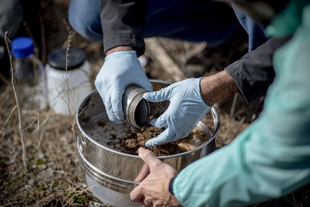 SEO/BirdLife y Ecoembes estudiarán el impacto de la «basuraleza» en 140 áreas relevantes para aves y biodiversidad