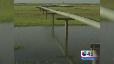 Juez federal bloquea la construcción del oleoducto Keystone XL