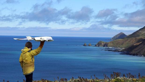 El uso de drones para la investigación de la vida silvestre: sus efectos y las lagunas legales