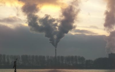 Día mundial por la Reducción de las Emisiones de Dióxido de Carbono – 28 de enero