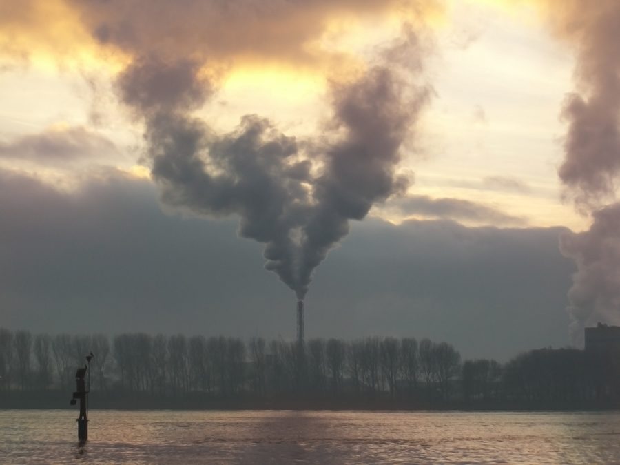 Día mundial por la Reducción de las Emisiones de Dióxido de Carbono – 28 de enero