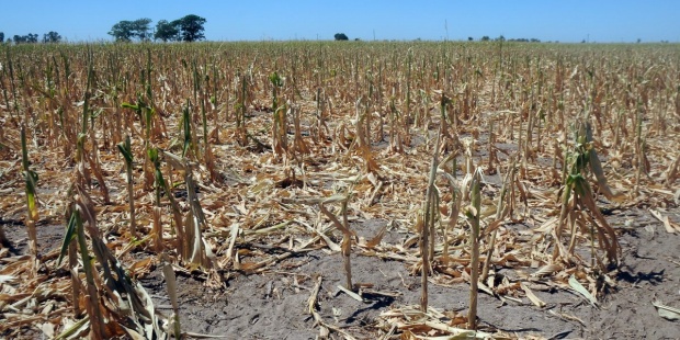 Cambio climático, desnutrición y obesidad: Una problemática mundial