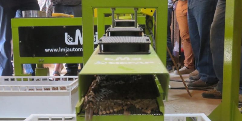 Avances en la producción de biocombustibles sólidos en Patagonia