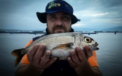 La Unión Europea logra acuerdo sobre gestión de pesca en el Mediterráneo