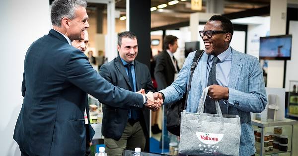 Destinia se une a Reforestum para compensar el dióxido de carbono con plantaciones