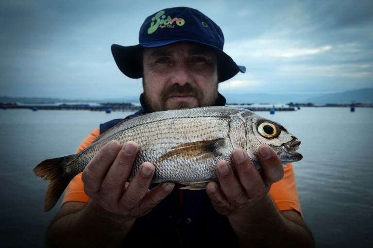 La Unión Europea logra acuerdo sobre gestión de pesca en el Mediterráneo