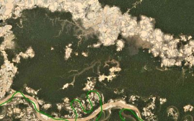 Deforestación por minería ilegal alcanza niveles históricos en Perú