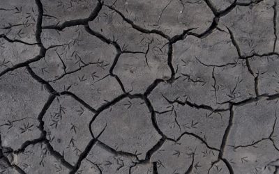 Colombia: Científicos del IPCC prepararán un informe especial sobre cambio climático y uso del suelo