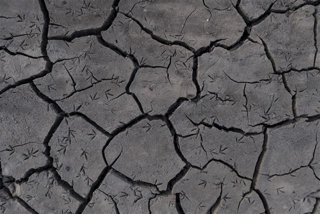 Colombia: Científicos del IPCC prepararán un informe especial sobre cambio climático y uso del suelo
