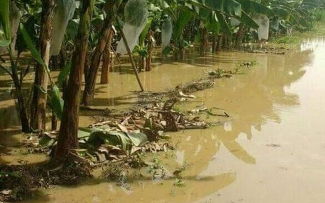 Perú: el Gobiernoevalúa bonos y créditos para agricultores afectados por naturaleza