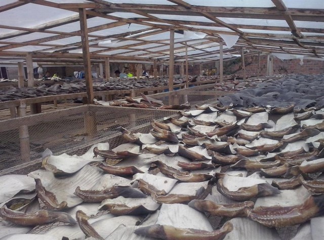 Empresa de comida a domicilio se adhiere al compromiso de WWF