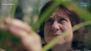 Tecnología contra la sequía trasciende fronteras