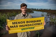 Greenpeace da datos sobre deforestación ilegal en Argentina