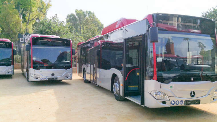 Propuestas amigables con el ambiente en Jerez