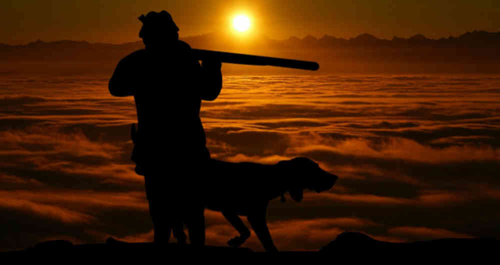 Colombia: fallo acaba con la caza deportiva