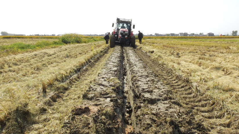 China creará zonas de cultivo más resistentes
