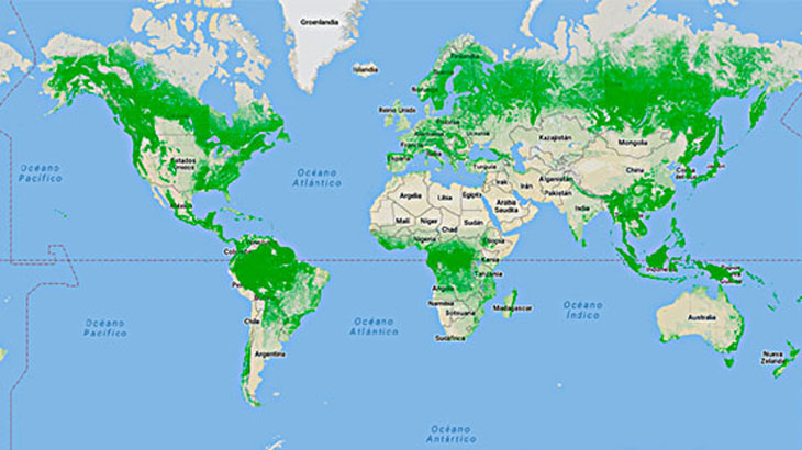 Bosques fragmentados en todo el mundo