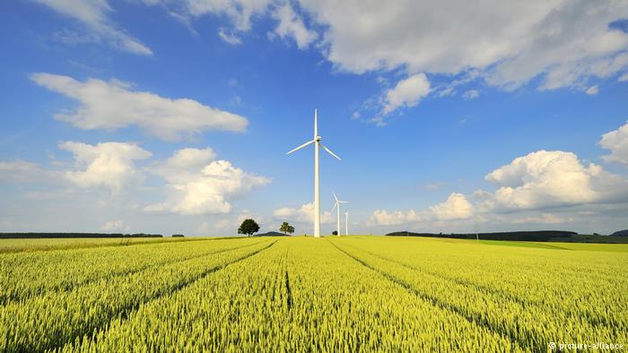 ¡Buenas Noticias!: Las energías renovables cobran fuerza