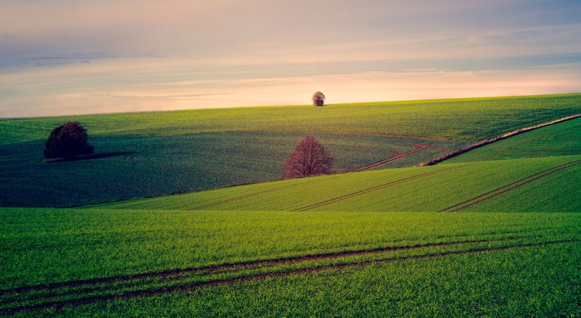 Respaldo europeo a la reutilización de agua para riego agrícola