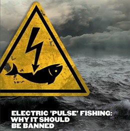 La Unión Europea prohibirá la pesca con impulsos eléctricos