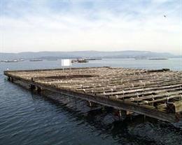 España regula actividades humanas en el mar