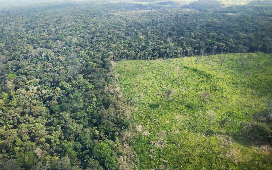 Controversia por cifra de deforestación en la Amazonía colombiana