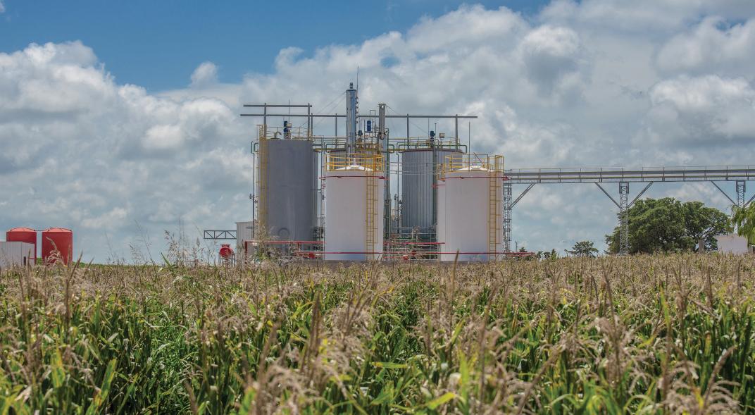 Ganaderos de Córdoba llegan con su bioetanol a los surtidores de nafta