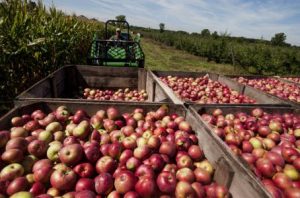 La Federación Agraria Argentina realizará un trabajo en conjunto con INTA para los proyectos especiales 2019 del programa Prohuerta
