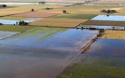 Ciclo 2018/2019: Las lluvias podrían complicar las cosechas de soja y maíz