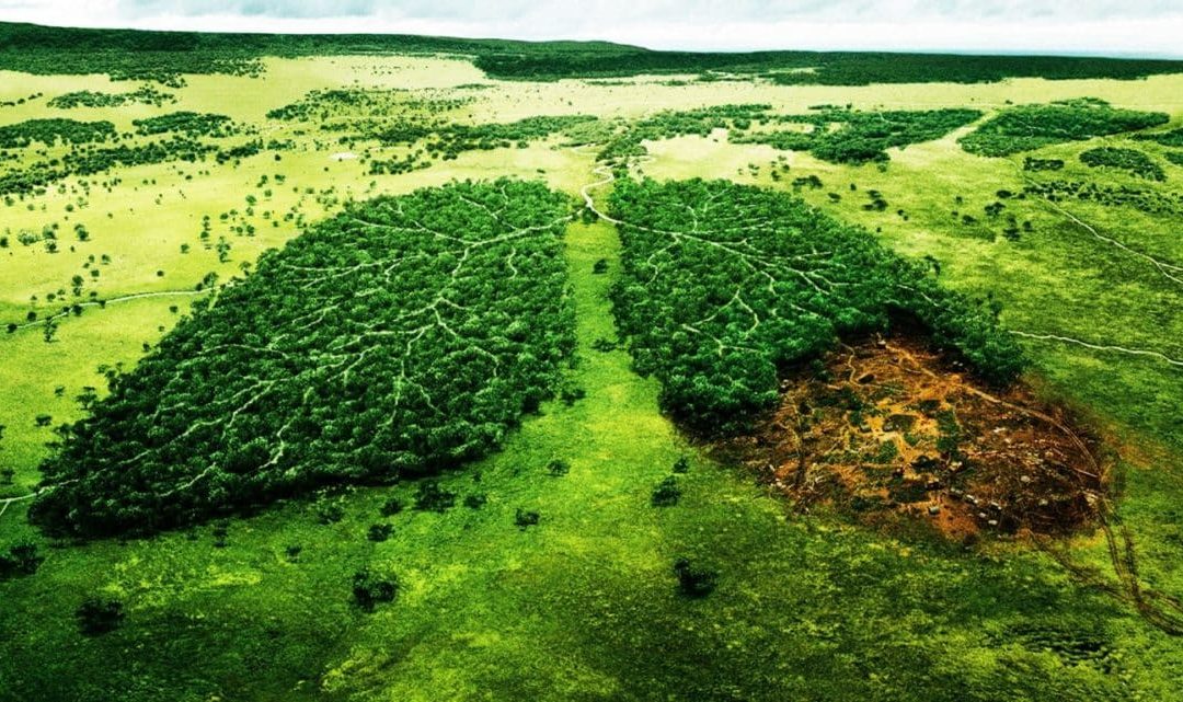 Se extiende la convocatoria para proyectos de desarrollo tecnológico en ambiente