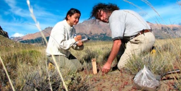 Utilizan el carbono del suelo para identificar plantas amenazadas
